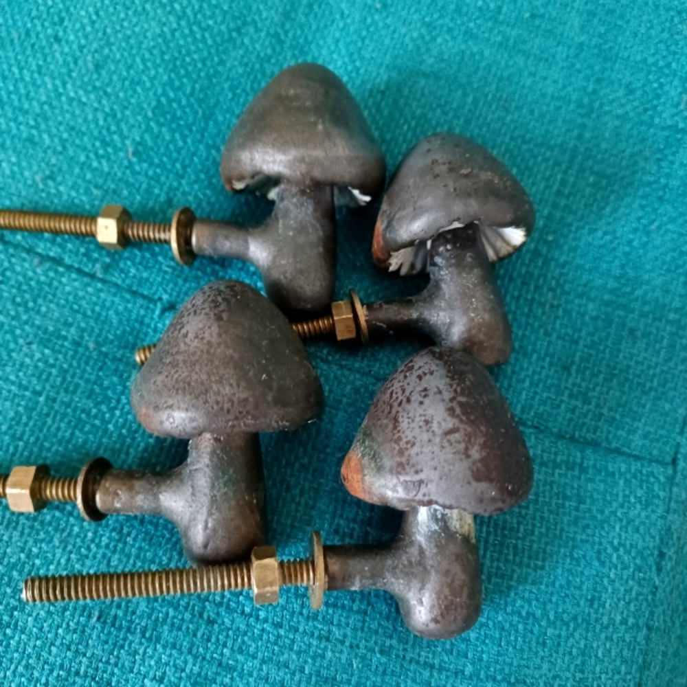 Pull Knobs - Anthropologie Set of 4-